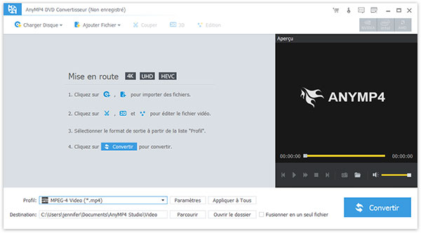 Interface de DVD iPhone Convertisseur