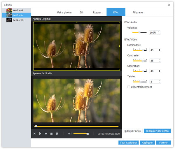 Montage de la vidéo
