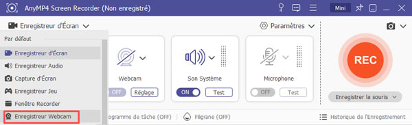 AnyMP4 Screen Recorder Interface
