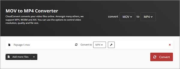 Choisir le format de sortie