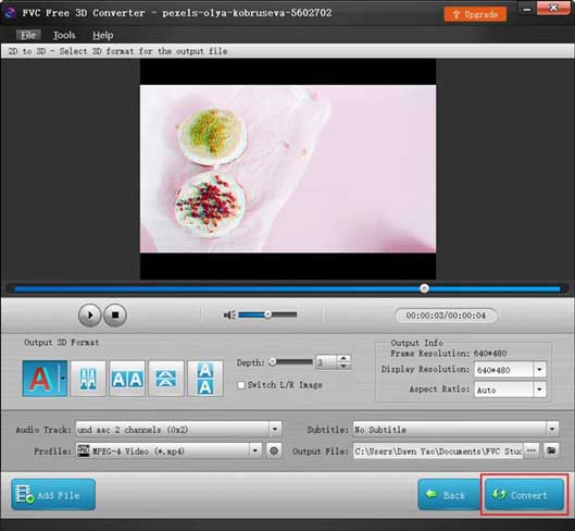 FVC Free 3D Converter