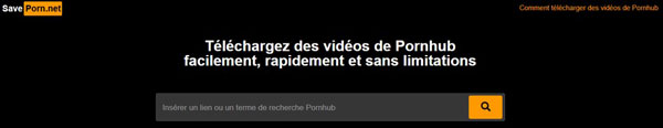 Télécharger une vidéo Pornhub avec Save Porn.net