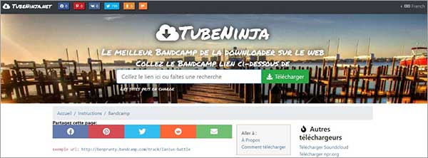  Le page principal de TubeNinja pour télécharger la vidéo Arte