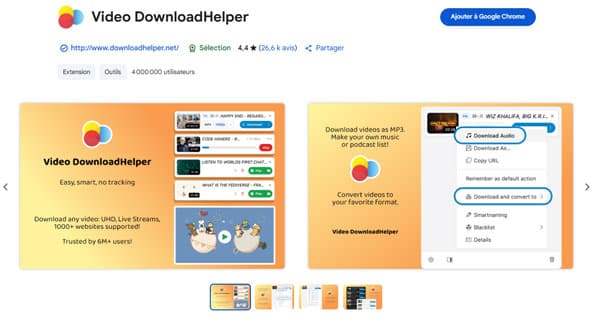 Video DownloadHelper