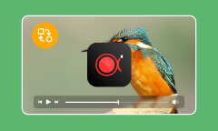 Les 3 meilleures alternatives à ApowerREC