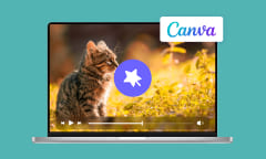 Comment éditer la vidéo avec Canva Vidéo Éditeur facilement