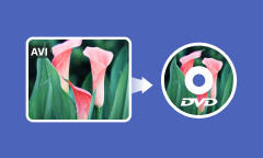 Convertir AVI en DVD avec une qualité supérieure