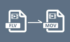 Convertir FLV en MOV