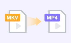 Convertir MKV en MP4 en ligne ou hors ligne