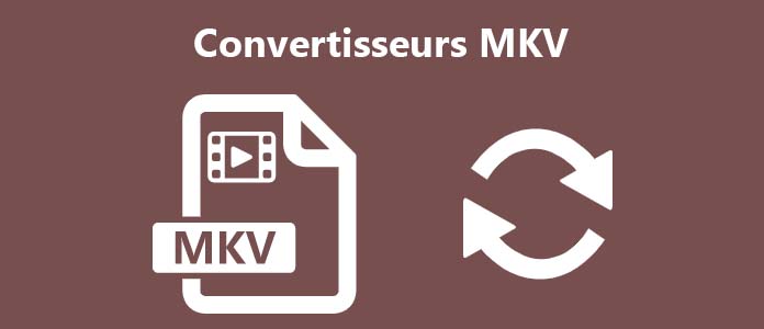 Convertisseurs MKV