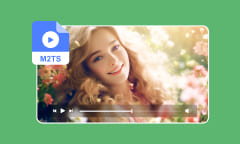 Fichier M2TS : Présentation, lecture et conversion d'une vidéo M2TS