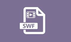 Fichier SWF
