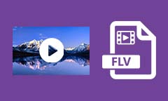 Les 10 meilleurs lecteurs vidéo FLV gratuits