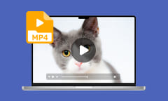 Top 20 des lecteurs MP4 pour PC, Mac, Android et iPhone