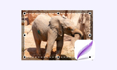 Test et revue de LightShot