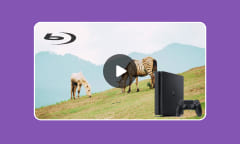 Lire Blu-ray sur PS4