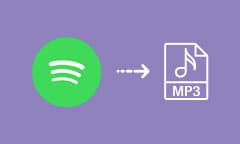 2 façons pour télécharger Spotify en MP3