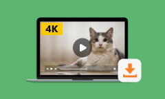 13 façons faciles de télécharger des films 4K en ligne ou hors ligne